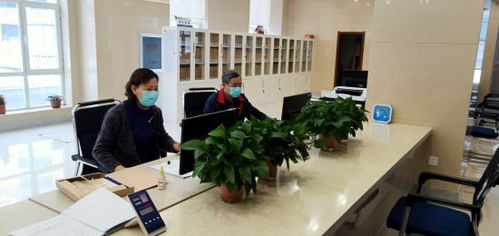 通化市檔案館 疫情防控與檔案利用服務兩不誤，檔案整理服務賦能便民